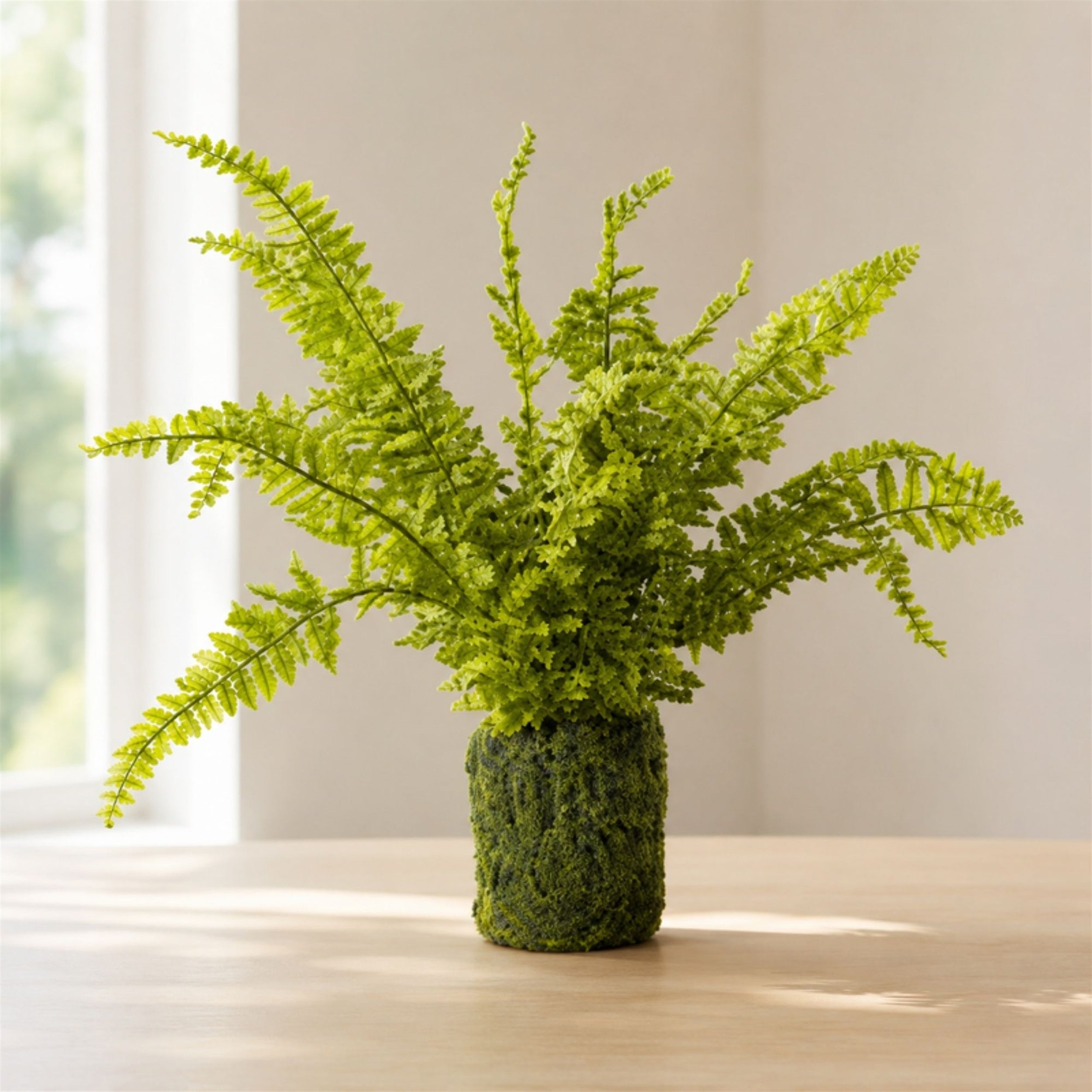 Fern Plant with Mossy Base 21"H