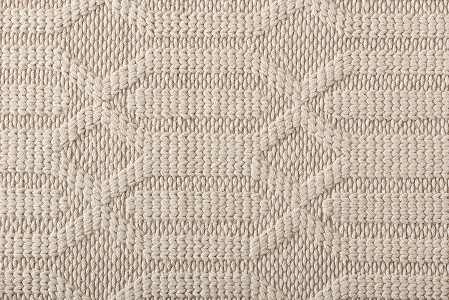 Baxton Studio Murray Modern and Contemporary Ivory Handwoven Wool Area Rug