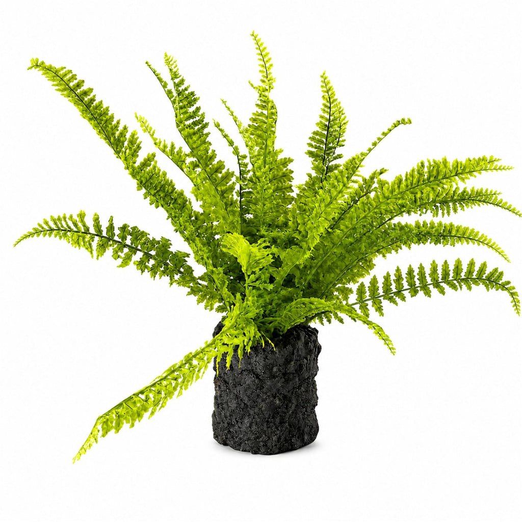 Fern Plant with Mossy Base 24"H