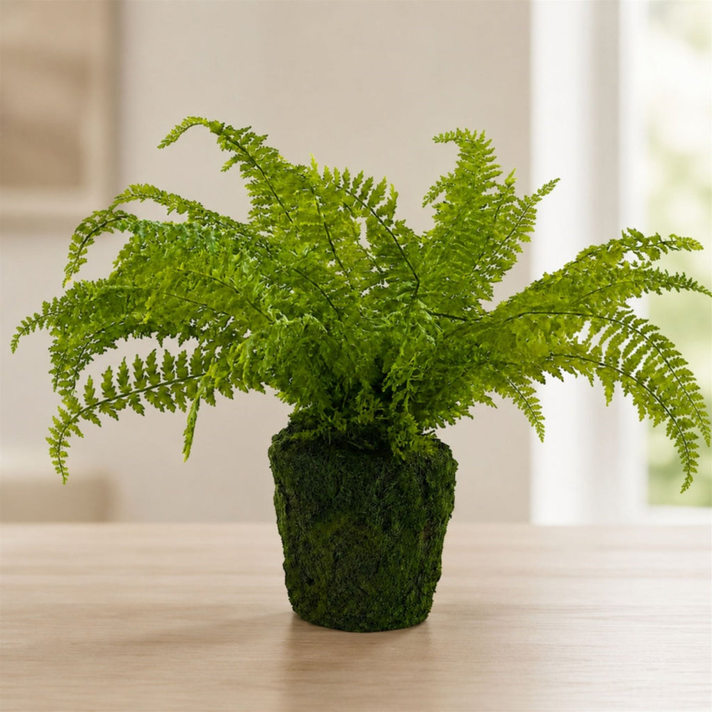 Fern Plant with Mossy Base 27"H