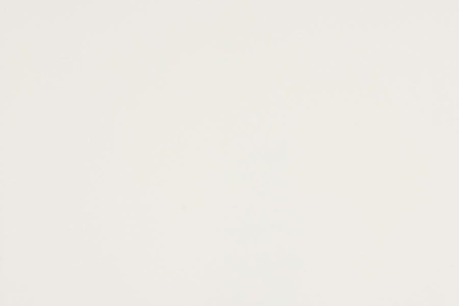 Baxton Studio Nadia Modern and Contemporary Farmhouse White Finished Wood and Black Metal 2-Door Sideboard Buffet