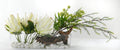 White Protea Glass