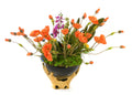 Poppy's in Black Bowl with gold handsÊ