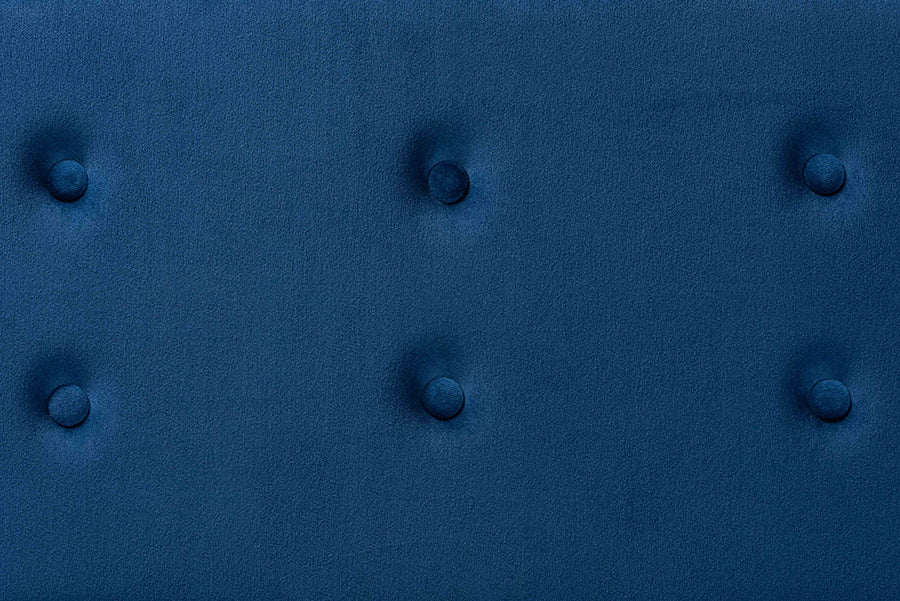 Baxton Studio Caine Modern and Contemporary Navy Blue Velvet Fabric Upholstered and Dark Brown Finished Wood Storage Bench