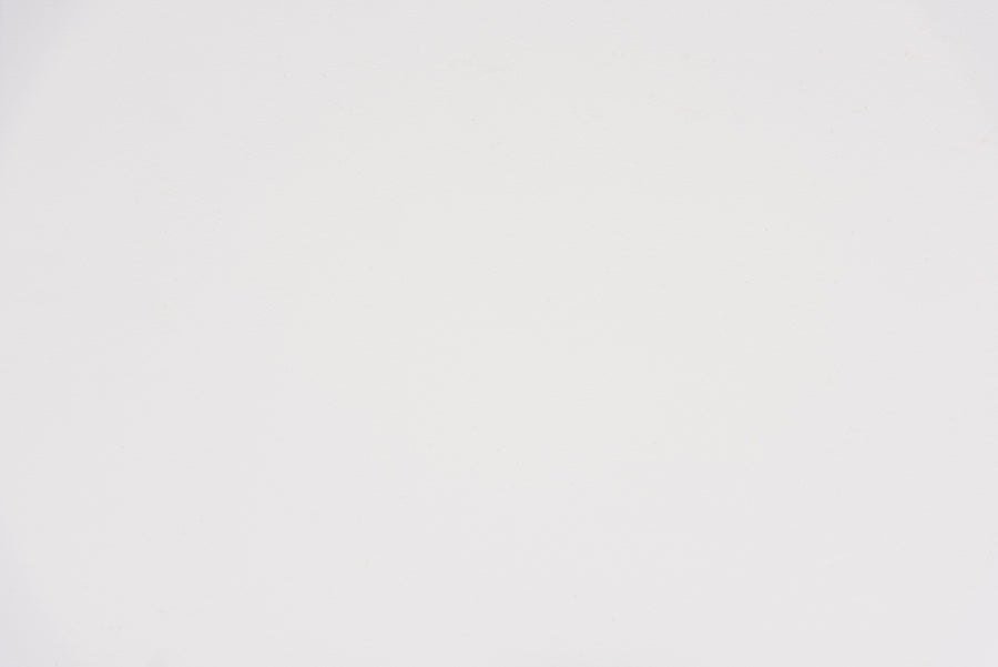Baxton Studio Rianne Modern Transitional White Finished Wood 2-Basket Storage Unit