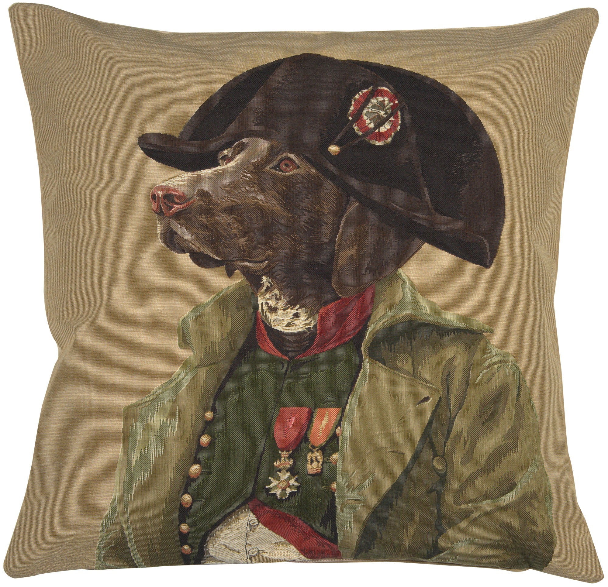 Chien Napoleon European Cushion Covers