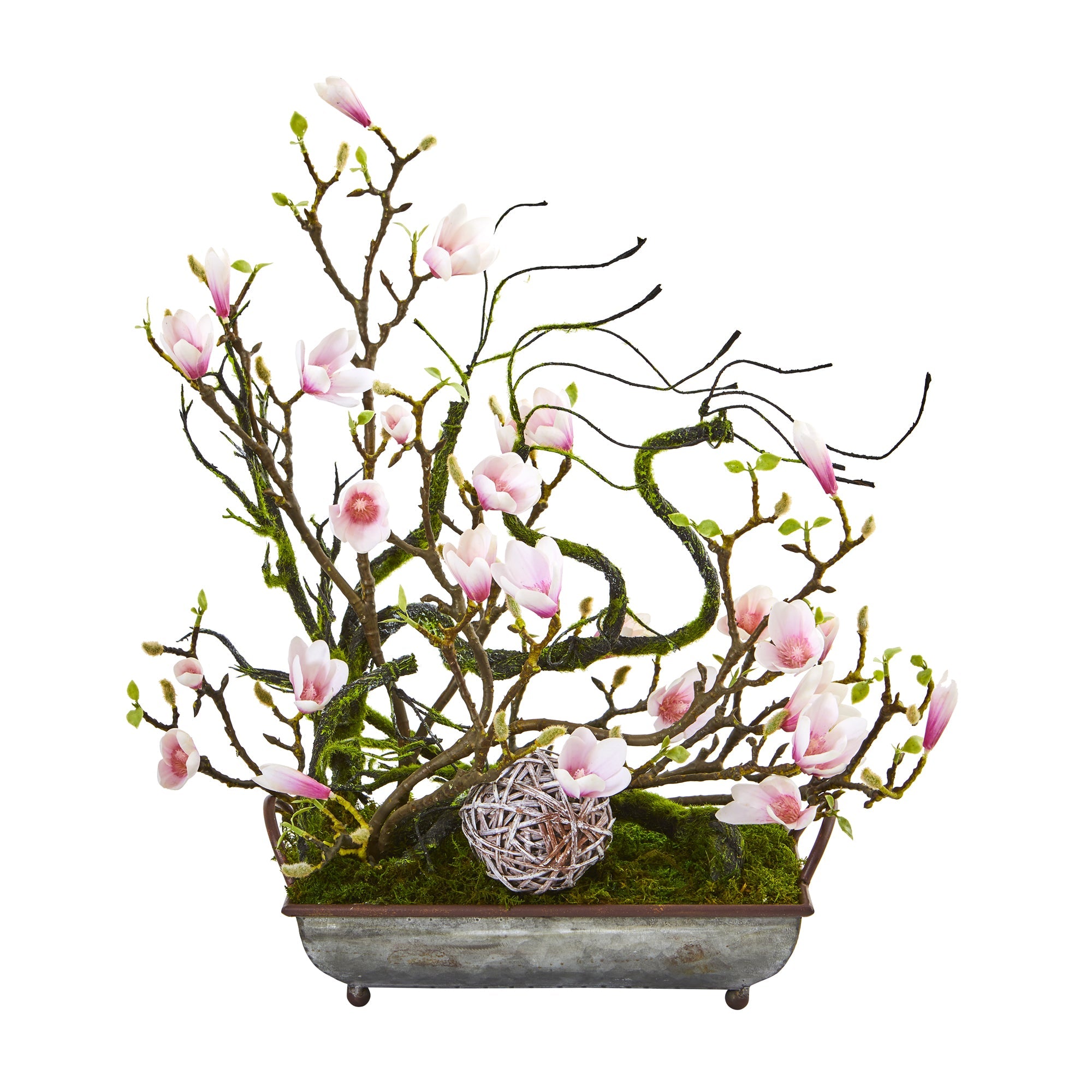 26" Magnolia, Twig and Vine Artificial Arrangement in Decorative Tray