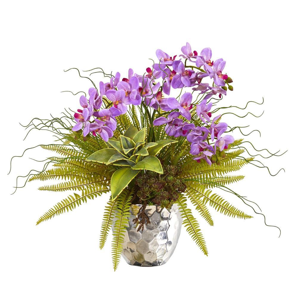 25" Phalaenopsis Orchid, Succulent and Fern Artificial Arrangement in Silver Vase