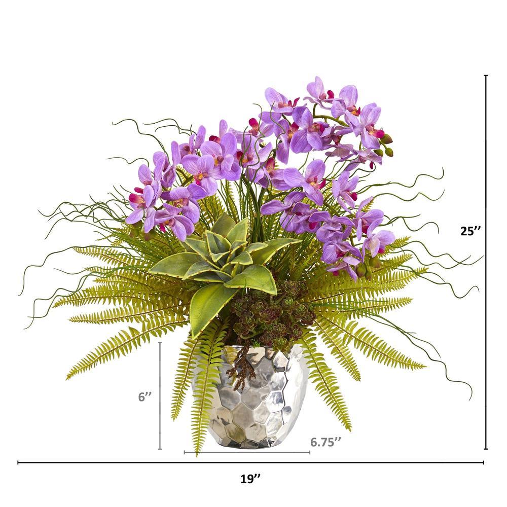 25" Phalaenopsis Orchid, Succulent and Fern Artificial Arrangement in Silver Vase