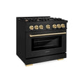 ZLINE 36" Select Dual Fuel Range Gas Cooktop Electric Convection Oven Black Stainless Steel Gold HDRBZ-36-G