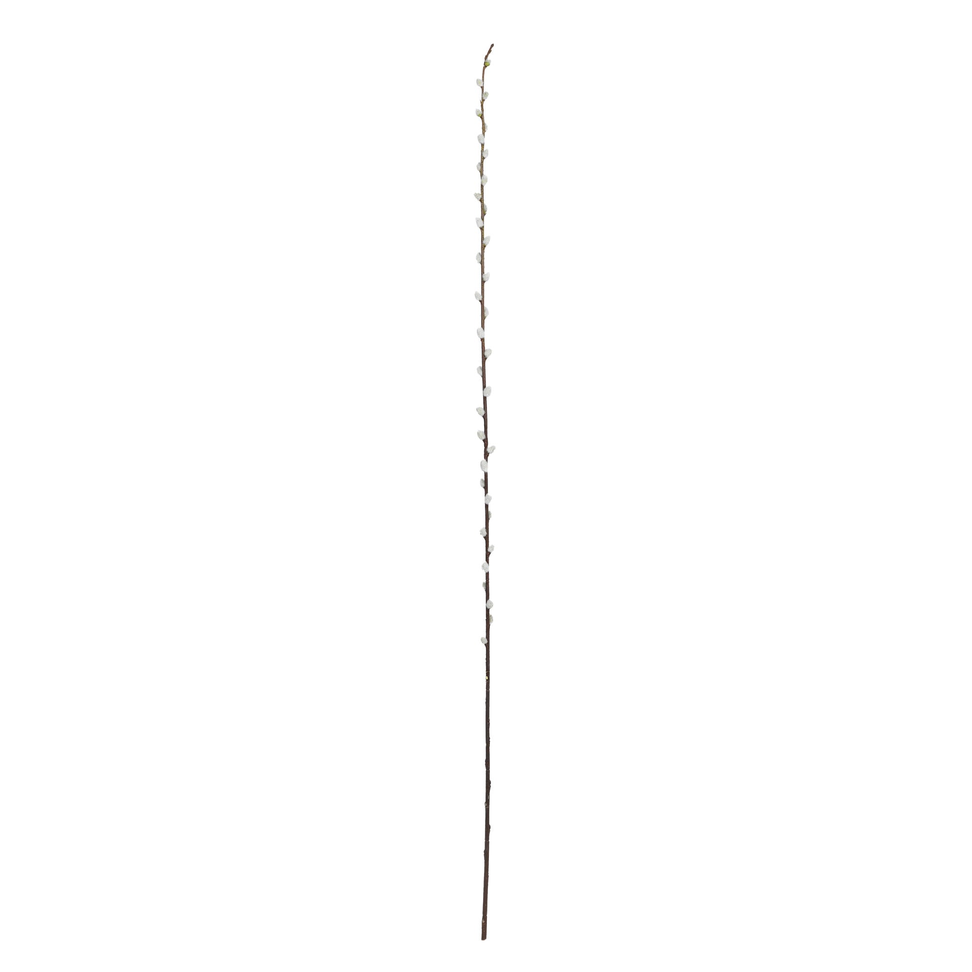 40" Pussy Willow Artificial Flower (Set of 12)