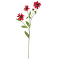 28.5" Cosmo Stem (Set of 12)
