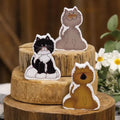 Chunky Kitty A 3 Asstd. (Pack of 4)