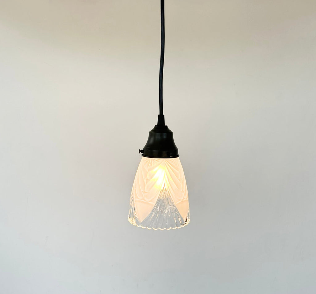 Clear And Frost Fan Ribbed Scallop Pendant Light/Wall Sconce