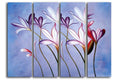 Focus on Crocus Canvas Wall Art