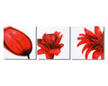 Red Flower Trilogy Canvas Wall Art