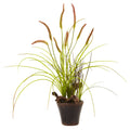 Swampy Cattail Garden w/Planter