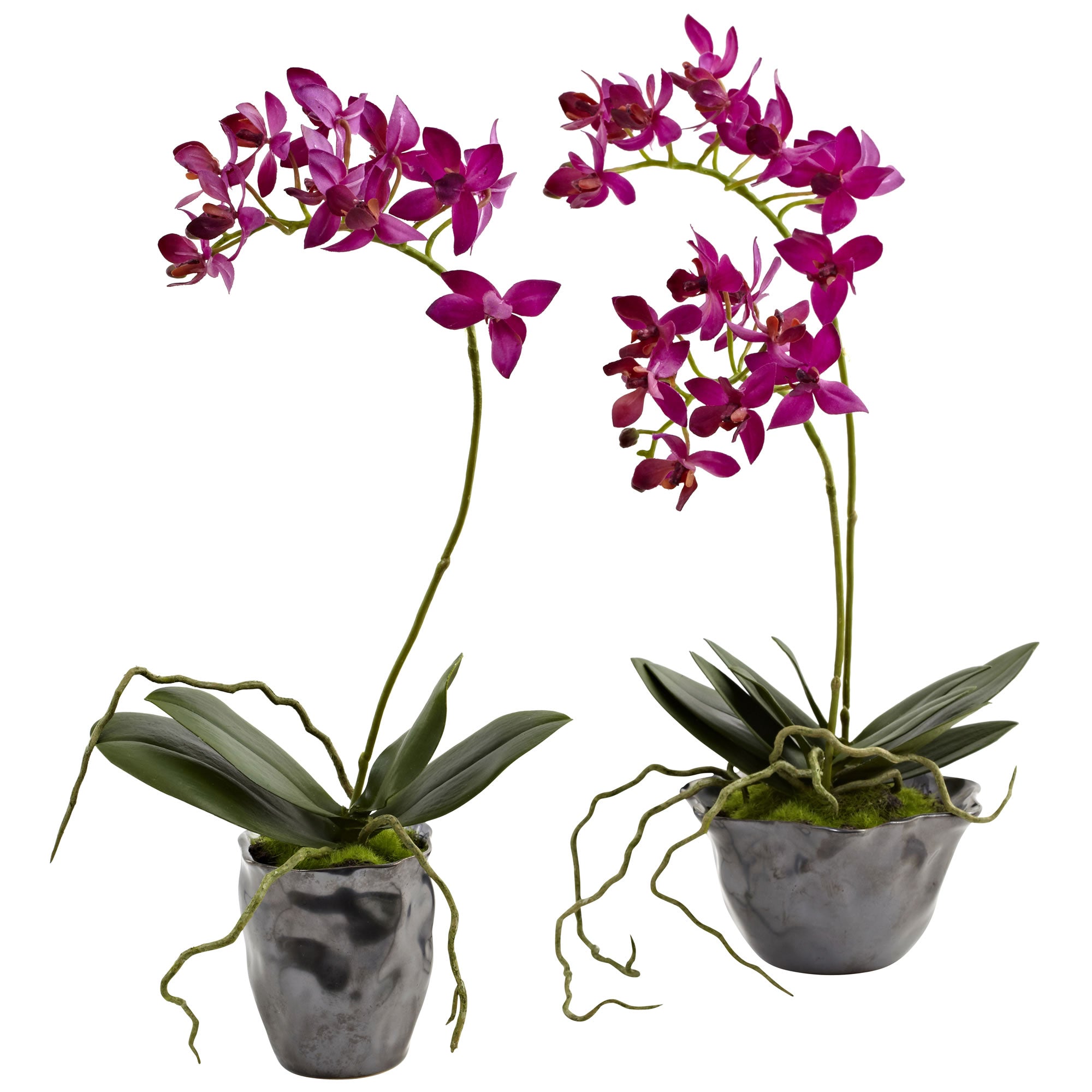 Mini Phal w/Metallic Vase (Set of 2)