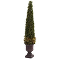 Mixed Golden Boxwood & Holly Topiary w/Urn
