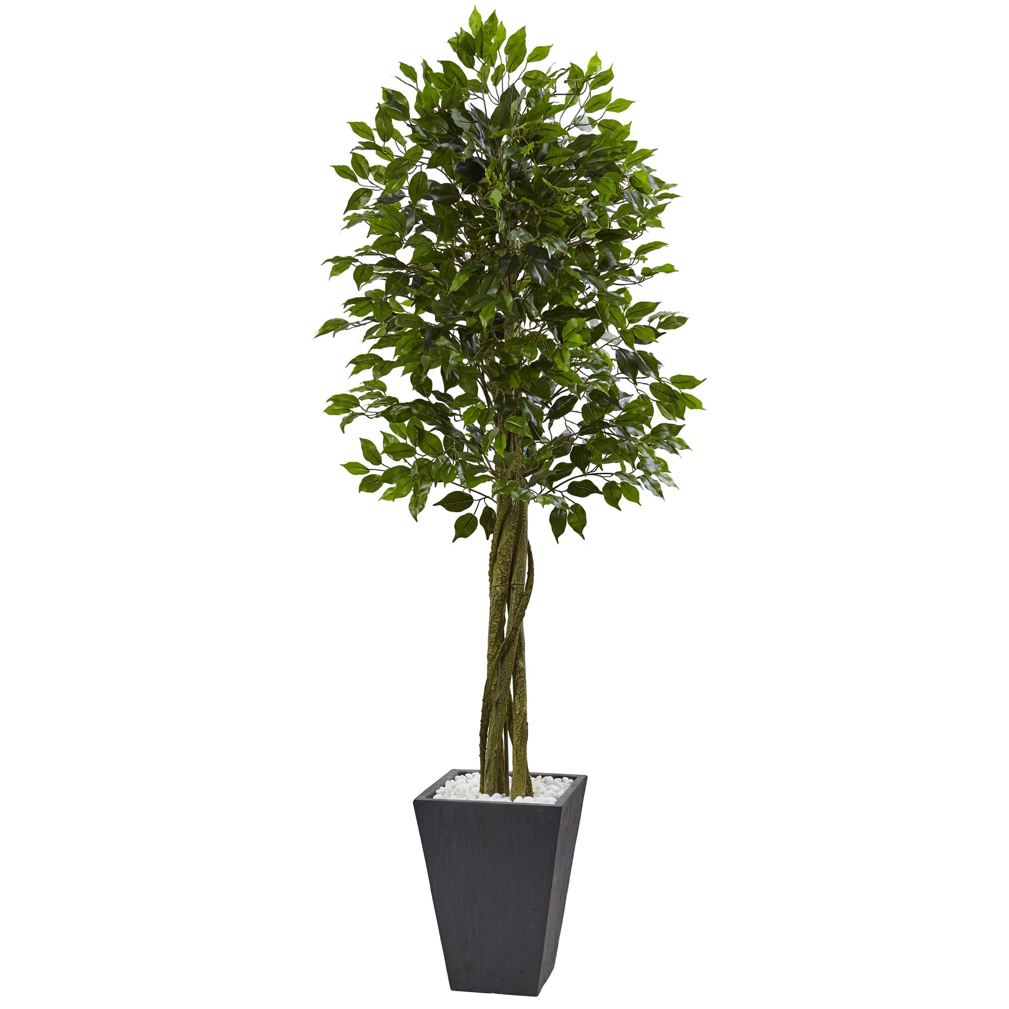 6.5'Ficus Tree with Slate Planter UV Resistant (Indoor Outdoor)