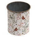 Vintage Cardinal Metal Can (Pack of 4)
