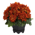 Mum w/Black Hexagon Planter