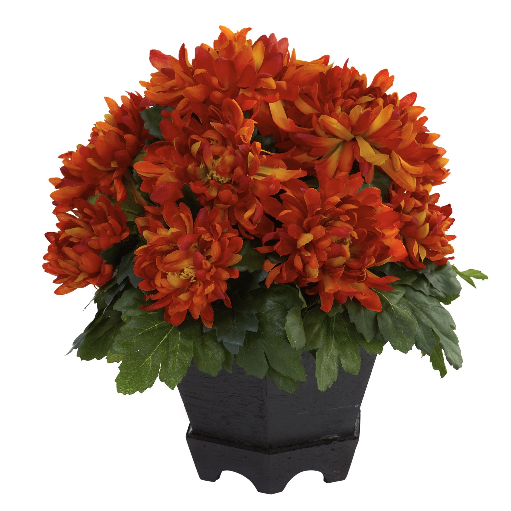 Mum w/Black Hexagon Planter