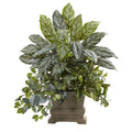 28" Mixed Silver Queen, Wandering Jew & Fittonia w/Planter