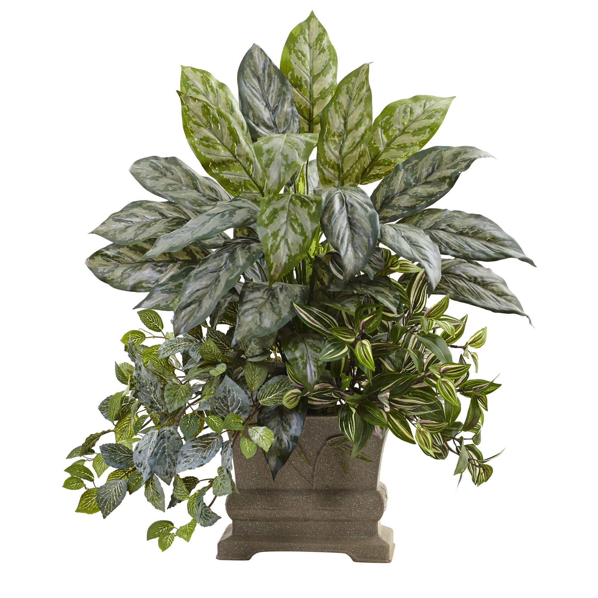 28" Mixed Silver Queen, Wandering Jew & Fittonia w/Planter
