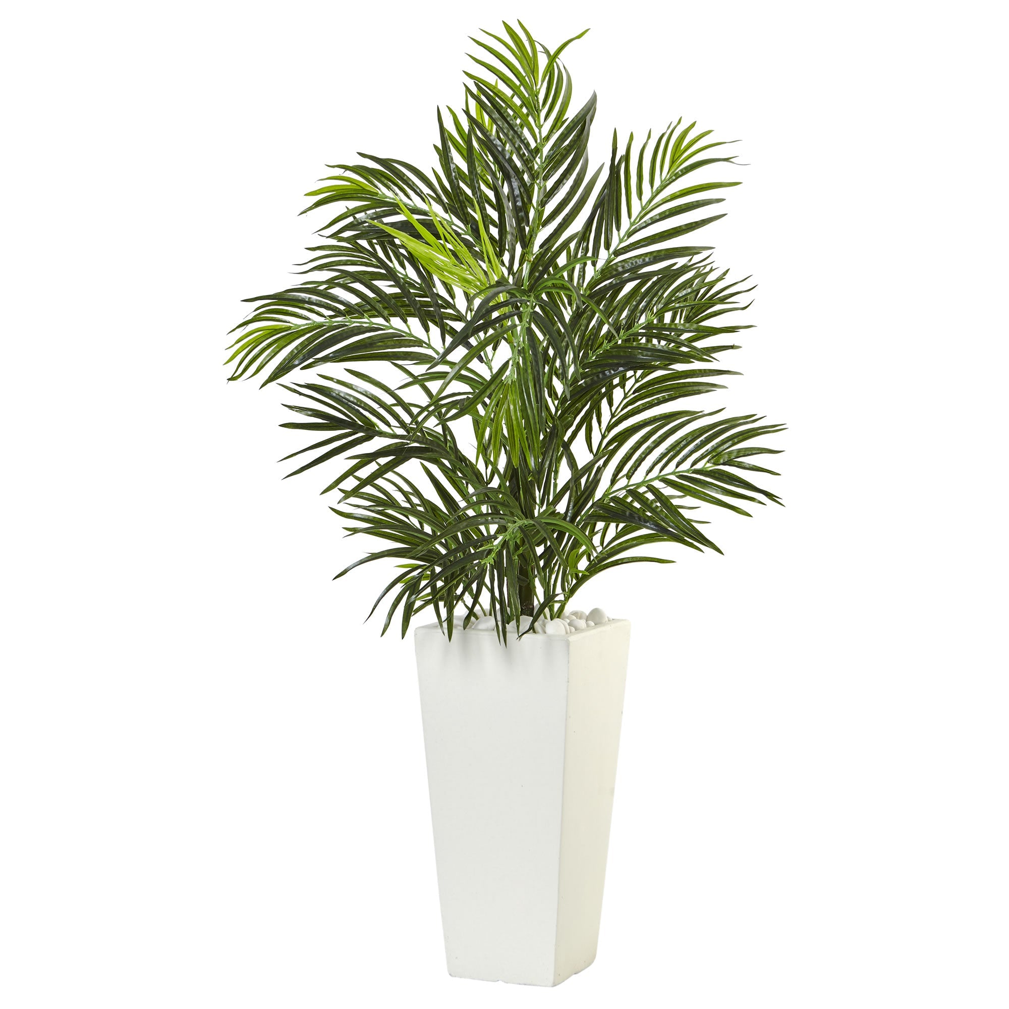 Areca Palm in White Square Planter