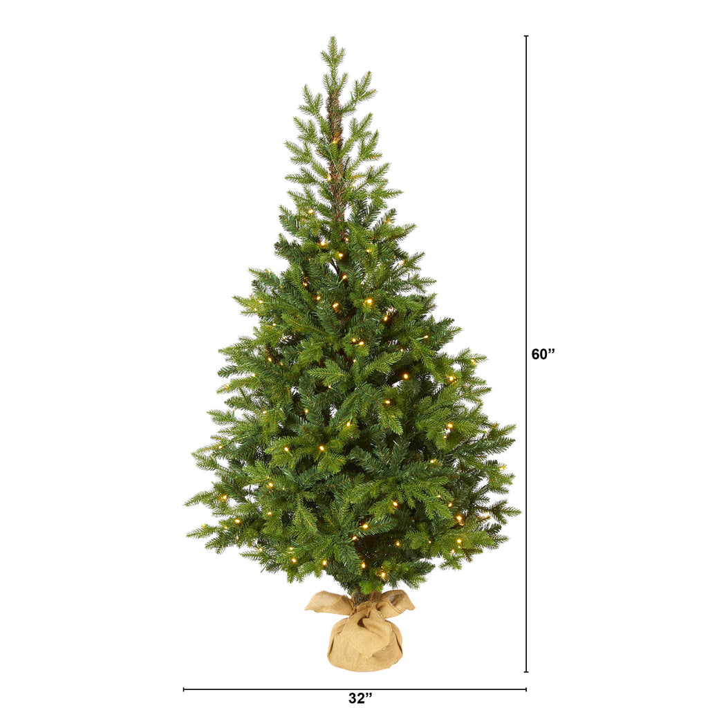 5' Fraser Fir 'Natural Look' Artificial Christmas Tree w/ 190 Clear LED Lights