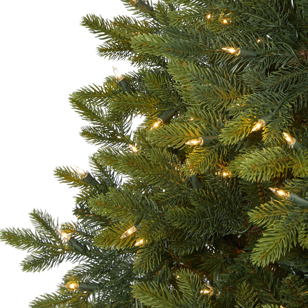 6' North Carolina Fir Artificial Christmas Tree w 450 Clear Lights