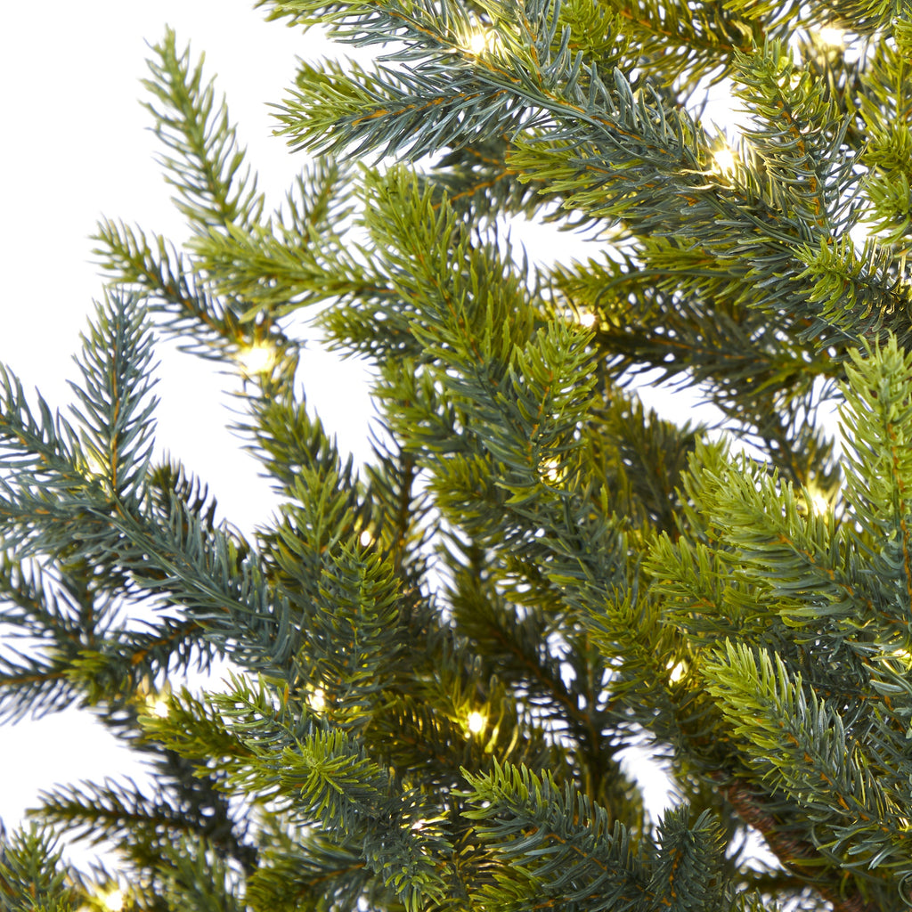 5' Fraser Fir "Natural Look" Artificial Christmas Tree w 200 Clear LED Lights