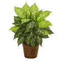 19"  Diffenbachia Artificial Plant in Basket
