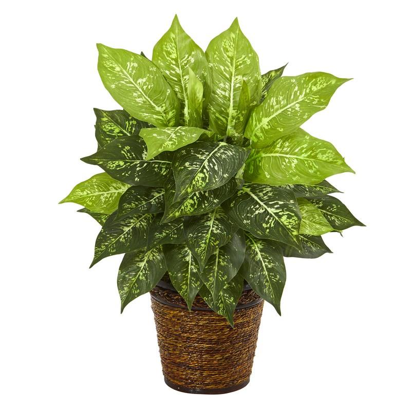19"  Diffenbachia Artificial Plant in Basket