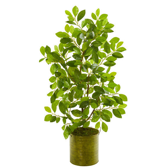 37" Mini Ficus Artificial Tree in Green Planter