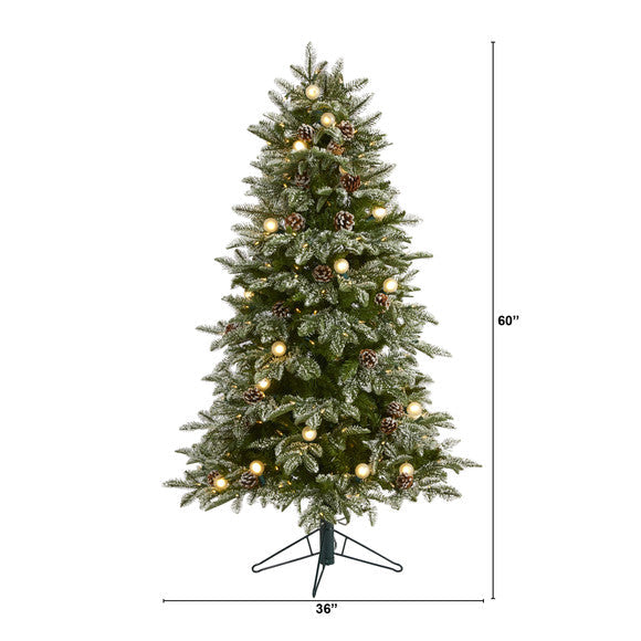 5' Flocked Whistler Mountain Fir Artificial Christmas Tree
