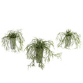 Wild Grass w/White Vase (Set of 3)