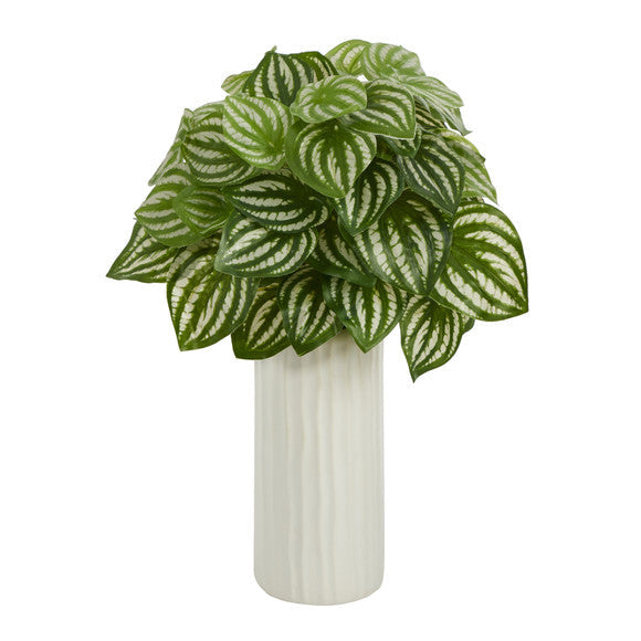 15" Watermelon Peperomia Artificial Plant in White Planter (Real Touch)