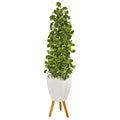 51" Variegated Holly Leaf Artificial Tree in White Planter with Stand