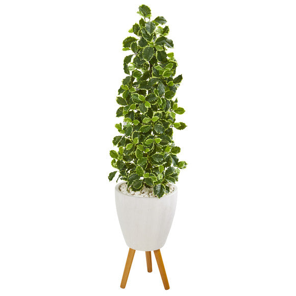 51" Variegated Holly Leaf Artificial Tree in White Planter with Stand