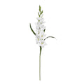 36" Gladiola Stem (Set of 12)