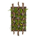 41"  x 19"  Mixed Succulent Artificial Living Wall