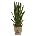 3.5' Sansevieria Artificial Plant in Farmhouse Planter