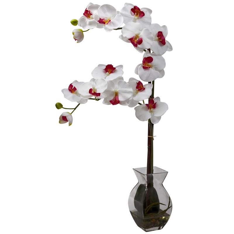 Phalaenopsis Orchid w/Vase Arrangement