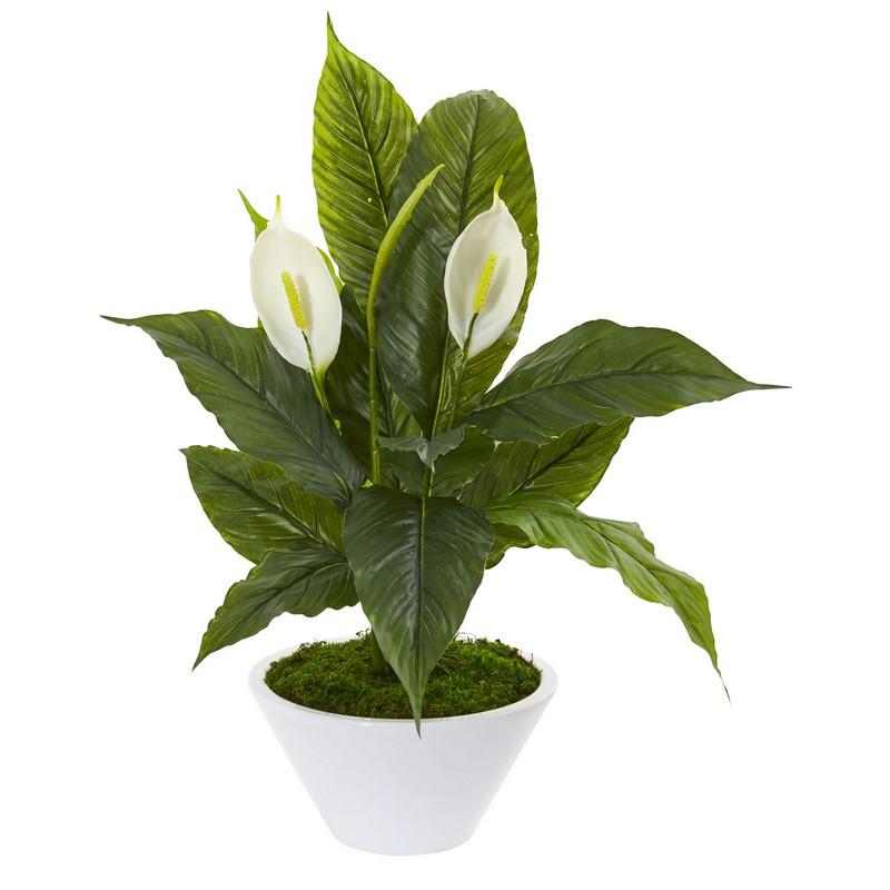 27" Spathifyllum Artificial Plant in White Vase