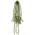 28" Red Bottlebrush Artificial Hanging Plant (Set of 6)