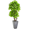 74"  Maple Artificial Tree in Cement Planter