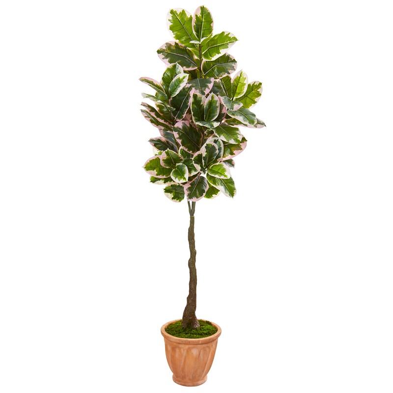 67"  Variegated Rubber Leaf Artificial Tree in Terra-Cotta Planter (Real Touch)