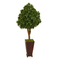 56"  Tea Leaf Artificial Tree in Decorative Planter